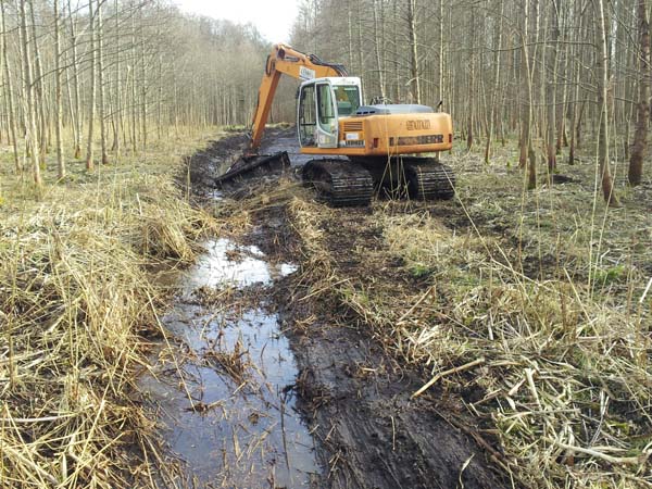 Moor-Kettenbagger an Gräben in Wald und Flur Moor-Kettenbagger an Gräben in Wald und Flur