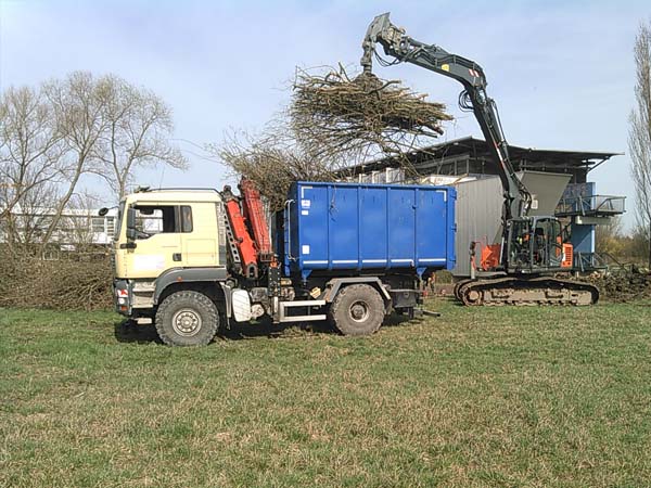 Holzgreifer am Bagger, Lkw mit Muldenaufbau, Traktor mit Muldenkipper, Lkw zur Selbstbeladung Kran-Holzgreifer-Mulde