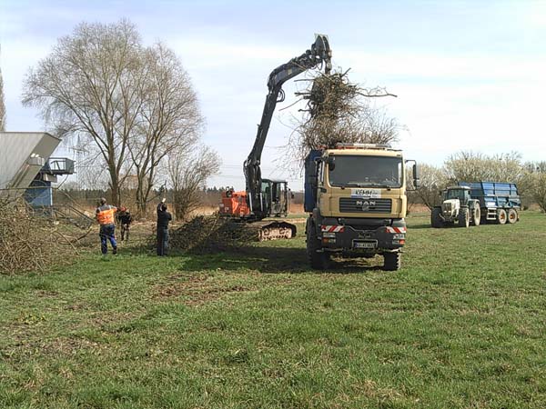 Holzgreifer am Bagger, Lkw mit Muldenaufbau, Traktor mit Muldenkipper, Lkw zur Selbstbeladung Kran-Holzgreifer-Mulde