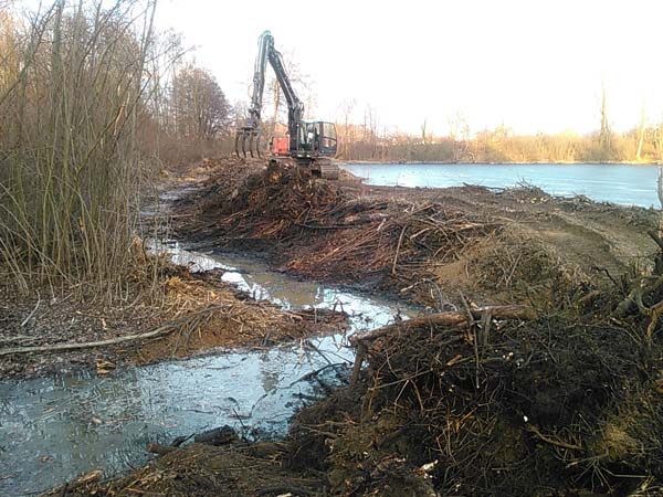Forstmulcher am Kurzheck-Moorkettenbagger Forstmulcher am Kurzheck-Moorkettenbagger