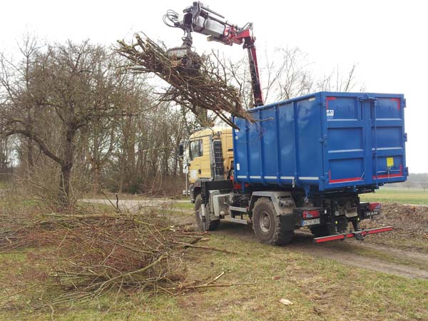 Beseitigen, Roden und Abfahren von Wurzelwerk und Baumstümpfen